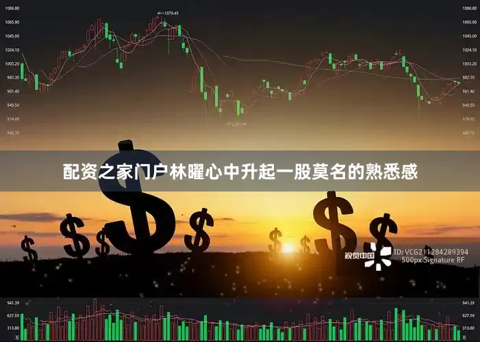 配资之家门户林曜心中升起一股莫名的熟悉感