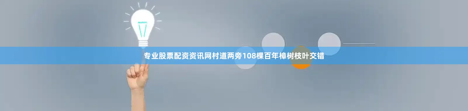 专业股票配资资讯网村道两旁108棵百年樟树枝叶交错