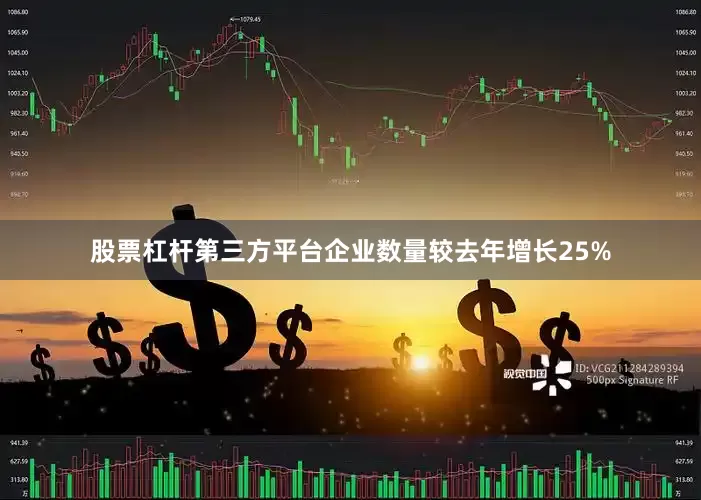 股票杠杆第三方平台企业数量较去年增长25%