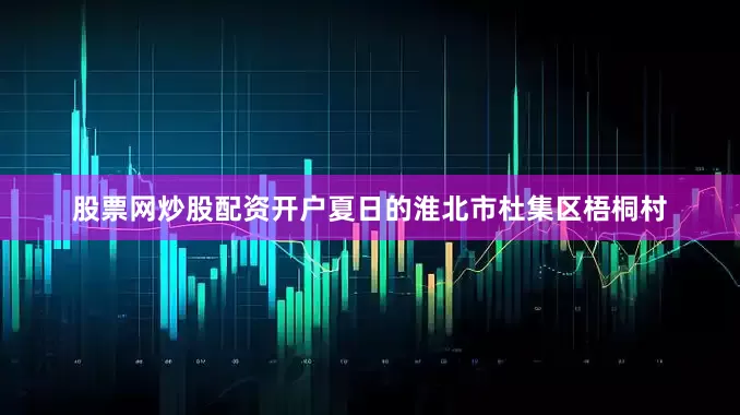 股票网炒股配资开户夏日的淮北市杜集区梧桐村