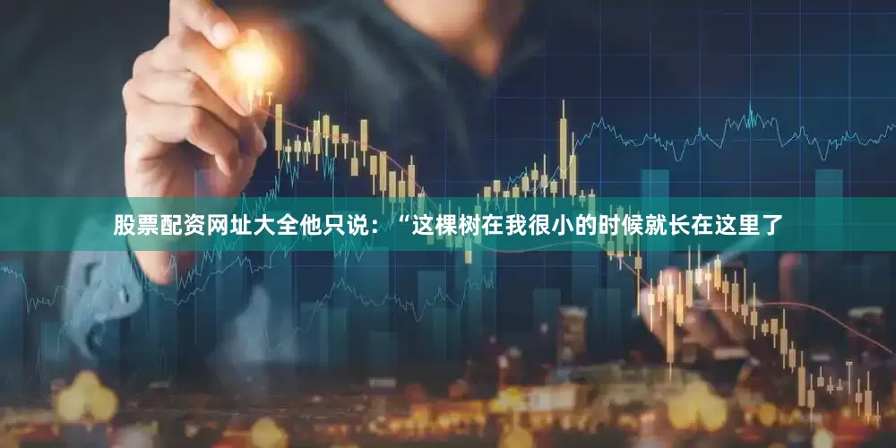 股票配资网址大全他只说：“这棵树在我很小的时候就长在这里了